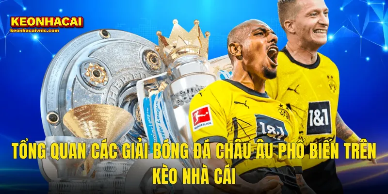 Tổng Quan Các Giải Bóng Đá Châu Âu Phổ Biến Trên Kèo Nhà Cái
