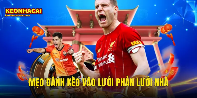 Mẹo Đánh Kèo Vào Lưới Phản Lưới Nhà Siêu Chuẩn Tại Kèo Nhà Cái 4 mẹo đánh kèo vào lưới phản lưới nhà