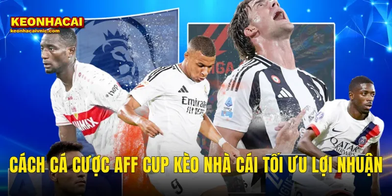 Cách Cá Cược AFF Cup Kèo Nhà Cái Tối Ưu Lợi Nhuận